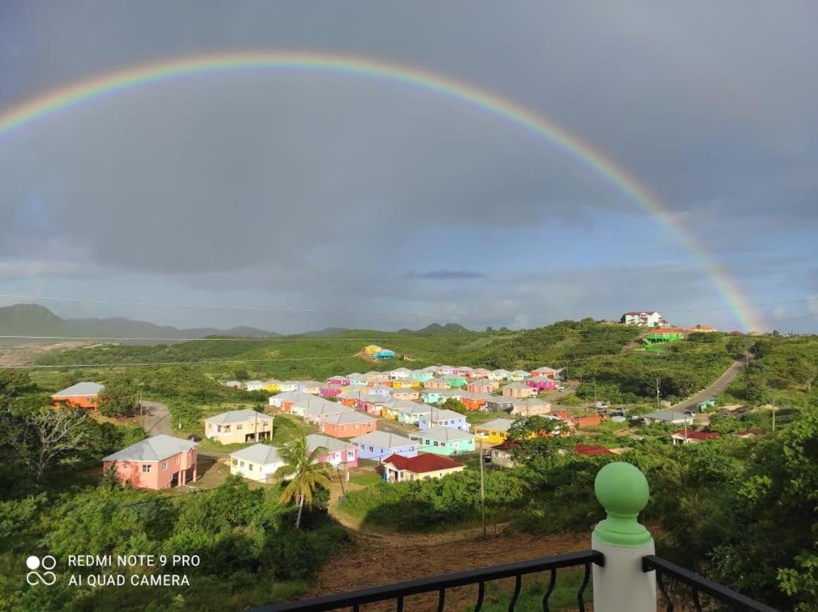 Zeus Estate Guesthouse St. John's Bagian luar foto